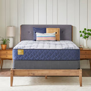 Banstead Cushion Firm Tight Top Queen