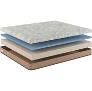 Lil' Buckaroo Soft BIAB Queen